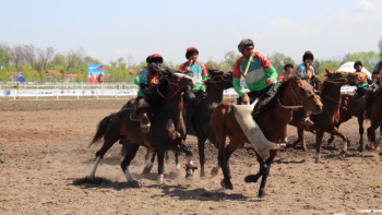 Фотография к новости: Азия чемпионаты. Қос команда да жаппай көкпардың мықтысы
