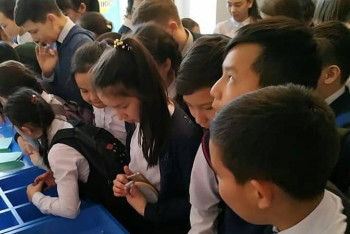 Павлодар облысында 50-ден астам «адалдық» дүкені жұмыс істеп тұр