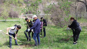 Фотография к новости: Медеу паркінде 100-ден аса көшет отырғызылды 