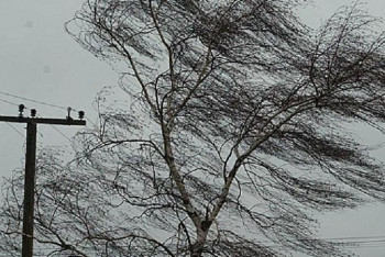 Фотография к новости: 19 сәуірге арналған ауа райы болжамы