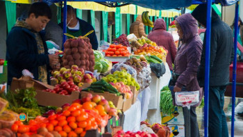 Фотография к новости: Елордада ауыл шаруашылығы жәрмеңкелерінің маусымы басталады