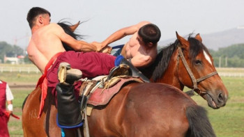 Фотография к новости: Азия чемпионаты. Аударыспақтың алыптары кімдер