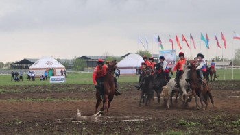 Фотография к новости: Азия чемпионаты. Көкпардан үшінші орын үшін тартыс өтеді