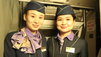 Фотография к новости:  Профессионалдар. Стюардесса