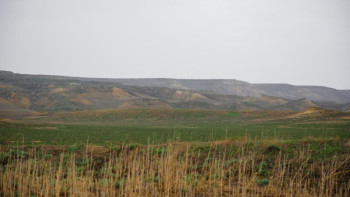 Фотография к новости: Атырау облысында табиғат паркі ашылады
