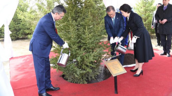 Фотография к новости: Корея президенті Мемлекет басшыларының аллеясына ағаш отырғызды