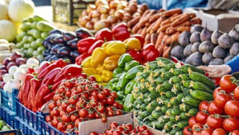 Фотография к новости: Қарағандыда ауылшаруашылық жәрмеңкесі өтеді