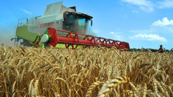 Фотография к новости: ШҚО-да құнарлы егіс алқаптарының көлемін ұлғайту жұмыстары жүргізілуде