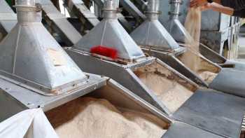 Фотография к новости: Қызылордада ауыл тұрғыны құрама жем шығаратын цех ашты 