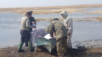 Фотография к новости: Заңсыз балық аулаған ШҚО тұрғындары ұсталды