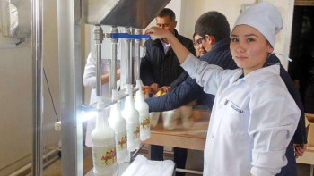 Фотография к новости: Қызылордалық кәсіпкер түйе сүтінен балмұздақ шығаруда