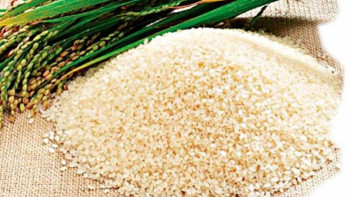 Фотография к новости: Қазақстан күріш экспортын қысқартты