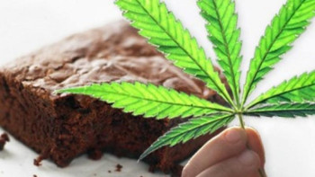 Фотография к новости: Алматы облысында жыл басынан бері 350 кг есірткі заттары тәркіленген