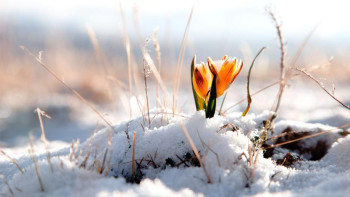 Фотография к новости: Алдағы үш күнге арналған ауа райы болжамы