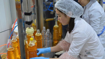 Фотография к новости: Студенттер ерекше әдіспен дайындалатын зығыр майын шығара бастады