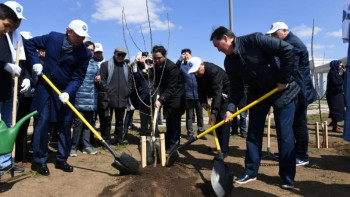 Фотография к новости: Елордада алма бағы отырғызылды