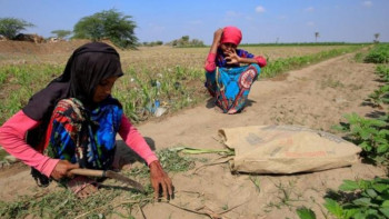 Фотография к новости: Йеменде соғыстың кесірінен 5 млн адам жұмыссыз қалған