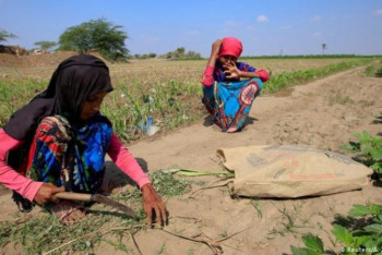 Фотография к новости: Йеменде соғыстың кесірінен 5 млн адам жұмыссыз қалған