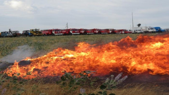 Фотография к новости: Шымкентте дала өрті қаупінің алдын алу жұмыстары басталды
