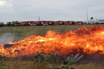 Фотография к новости: Шымкентте дала өрті қаупінің алдын алу жұмыстары басталды