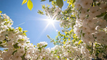 Фотография к новости: Алдағы үш күнде жауын-шашынсыз ауа райы сақталады 