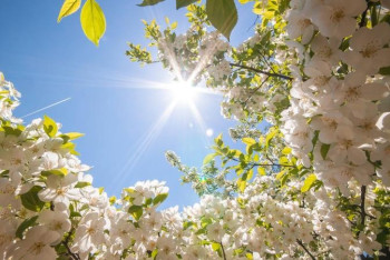 Фотография к новости: Алдағы үш күнде жауын-шашынсыз ауа райы сақталады 