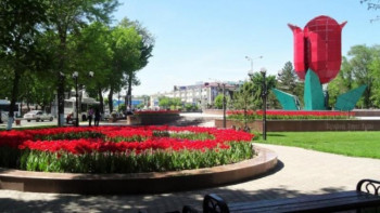 Фотография к новости: Шымкентте "Мерейлі отбасы" ﻿ұлттық конкурсы басталды