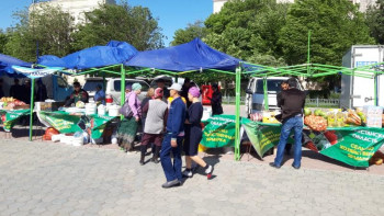 Фотография к новости: Түркістанда мерекелік азық-түлік жәрмеңкесі өтті