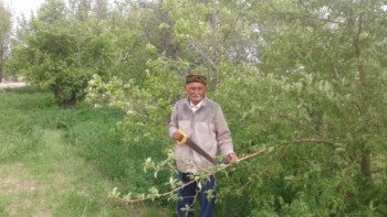 Фотография к новости: Аудандағы ақырғы ардагерлер﻿