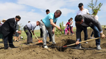 Фотография к новости: ҰОС ардагерлерінің ұрпақтары тал екті