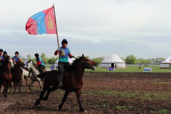 Фотография к новости: Жеңісбек Серікұлы: Көкпар атын баптауда қазақстандық бапкерлердің тәжірибесі мол