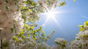 Фотография к новости: 11 мамырға арналған ауа райы болжамы