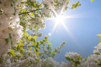 Фотография к новости: 11 мамырға арналған ауа райы болжамы