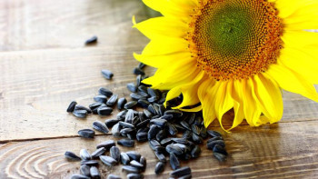 Фотография к новости: Жамбыл облысында «қарапайым заттар экономикасын» дамыту ісі тұрақты жолға қойылуда