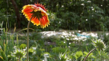 Фотография к новости: 12 мамырда елімізде қандай ауа райы күтіледі?