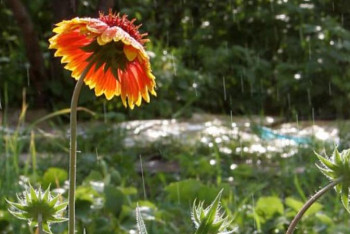 Фотография к новости: 12 мамырда елімізде қандай ауа райы күтіледі?