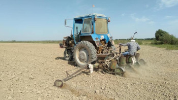 Фотография к новости: Ауыл шаруашылығын әртараптандыруда бір жерден екі рет өнім алу дамып келеді