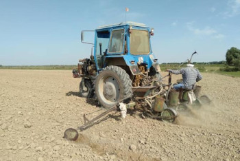 Фотография к новости: Ауыл шаруашылығын әртараптандыруда бір жерден екі рет өнім алу дамып келеді