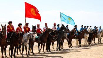 Фотография к новости: Көкпар мен көкбөрүнің тартысы. Қырғыз профессордың пікірі