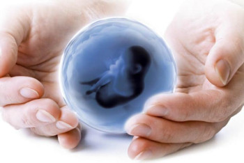 Фотография к новости: Қазақстанда жасанды ұрықтандыру жасататын жұптар саны артып келеді 