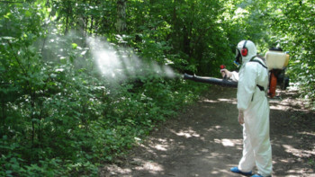 Фотография к новости: ﻿Атырауда маса улауға 127 млн теңге бөлінді