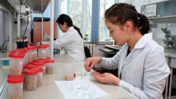 Фотография к новости: «Өнімді инновацияларды ынталандыру» – отандық ғалымдарға берілген мүмкіндік