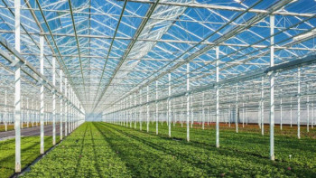 Фотография к новости: Түркістан облысында 21 гектарға жылыжай кешені салынады