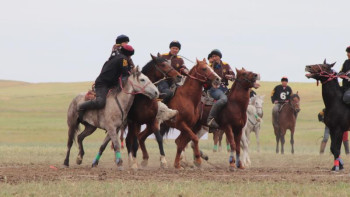 Фотография к новости: Ел чемпионаты. СҚО құрамасы Алматы балуандарынан басым түсті