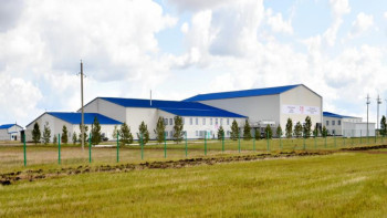 Фотография к новости: СҚО-да ет комбинаты іске қосылды