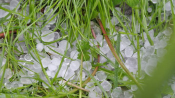 Фотография к новости: Еліміздің бірқатар өңірінде бұршақ жауады