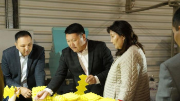 Фотография к новости: Елімізде малға арналған сырғалар шығарылуда