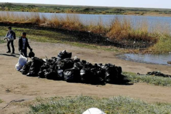 Фотография к новости: ECO-challenge Qostanai: 200 тоннадан артық қоқыс жиналды 