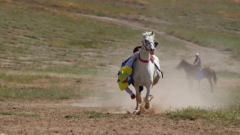 Фотография к новости: Ел чемпионаты. Теңге ілуден Қазақстан чемпионы анықталды