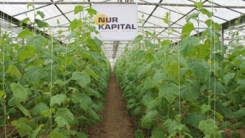 Фотография к новости: Жаңаөзенде аймақтық бағдарлама аясында 182 жұмыс орны ашылды